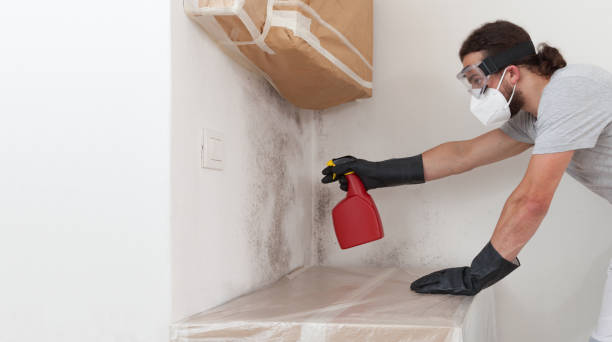 Professional Crawl Space Mold Remediation technician working in Saxapahaw, NC
