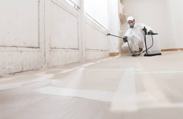 24/7 Emergency Crawl Space Mold Remediation experts in Saxapahaw, NC
